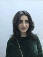  Стрижка модельная (женская), Укладка волос феном. Выполняется с обязательным применением укладочных средств или средств по уходу, расчёсок, брашингов. Так же в работе используется утюжок или диффузор.,