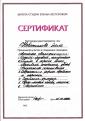 Школа Елены Нестеровой   Повышение квалификации: Курс семинаров по  креативному окрашиванию, стрижкам, прическам. 