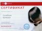 Студия 