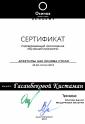 Академия 