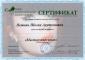 Первый Профессиональный Институт Эстетики                                                            