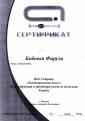 Студия 