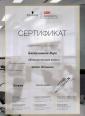 Академия 