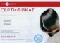 Студия 