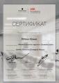Академия 