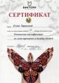 Студия 