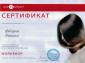 Студия 