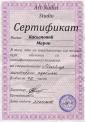 Студия 