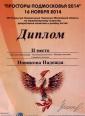 «Свадебное плетение»   2 место  VIII Чемпионат по парикмахерскому искусству «Просторы Подмосковья»