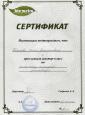 Компания 