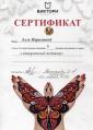 Студия 
