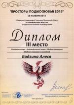 Москва. X Чемпионат по парикмахерскому искусству «Просторы Подмосковья - 2016»; 