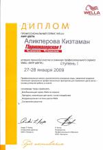 Москва. Студия Веллла; Мир цвета. 2009 год