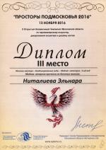 Москва. X Чемпионат по парикмахерскому искусству «Просторы Подмосковья»; «Мода» - Вид 2-ой: «Модная вечерняя прическа на длинных волосах»- 3 место. 2016 год