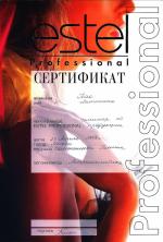 Москва. Студия Эстель; Семинар по продукции. 2008 год