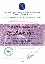 Москва.  Школа Парикмахерского Искусства Павла Баженова                                                                                          ;  Авторский семинар: 
