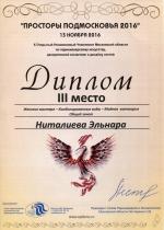 Москва. X Чемпионат по парикмахерскому искусству «Просторы Подмосковья»; Модная категория - Женские мастера - Общий зачет- 3 место. 2016 год