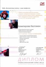 Москва. Студия Велла; Салонная концепция окраски. 2005 год