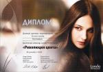 Москва. Студия Лонда; Революция цвета. 2009 год