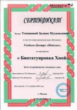 Москва. УЦ «Моделье»; «Биотатуировка Хной». 2008 год