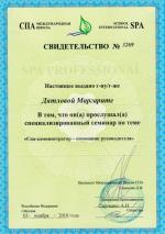 Москва. Международная Школа СПА; 