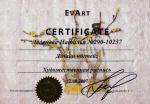 Москва. УЦ «EvArt»; Дизайн ногтей: Художественная роспись. 2007г.