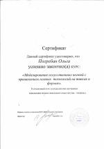 Санкт-Петербург. НОУ ДПО Студия 