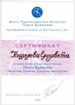 Москва.  Школа Парикмахерского Искусства Павла Баженова                                                                    ; Авторский семинар: 