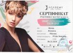 Москва. Arademy salon solution; Smart -окрашивание Color Juice. 2019